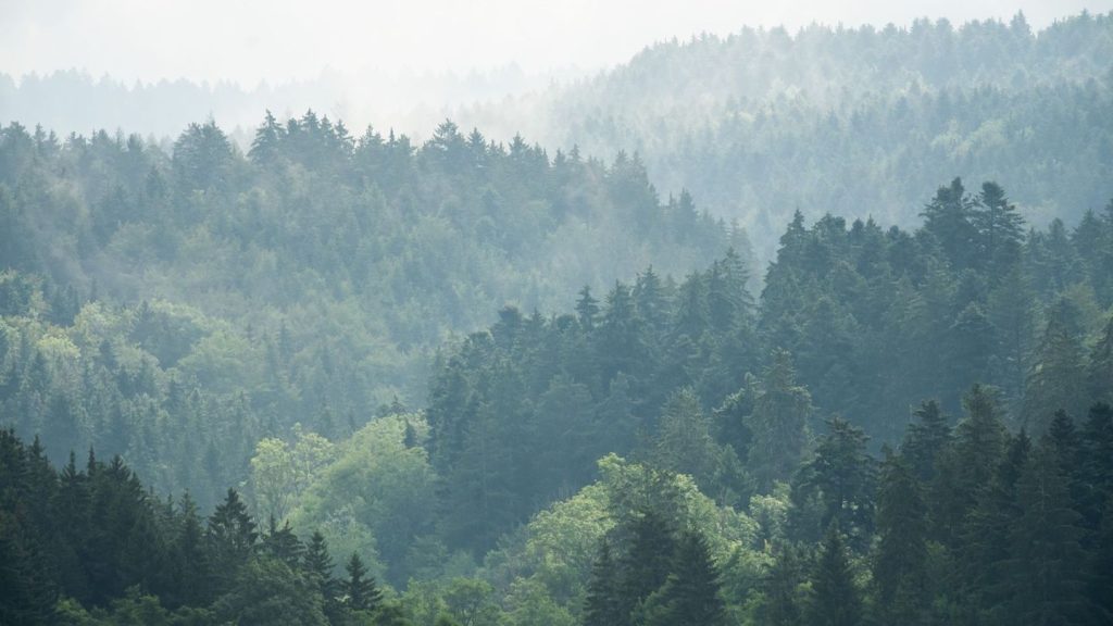 Wetter: Tschüss Grau: Sonnigeres Wetter zur Wochenmitte