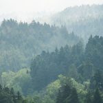 Wetter: Tschüss Grau: Sonnigeres Wetter zur Wochenmitte