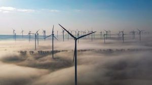 Energiekosten: Woidke warnt vor Folgen hoher Stromkosten