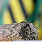 Verkehrsbehinderungen: Weitere Untersuchungen an Eisenbahnbrücke in Bad Schandau
