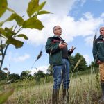 Umwelt- und Klimaschutz: Neuer Wald soll auch die Ostsee schützen