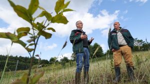 Umwelt- und Klimaschutz: Neuer Wald soll auch die Ostsee schützen