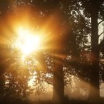 Wetterbericht: Hitzewellchen im Südwesten: Wo wird 30-Grad-Marke geknackt?