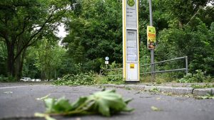 Aufräumen nach Sturmschäden: Beseitigung der Sturmschäden im Nordwesten läuft weiter