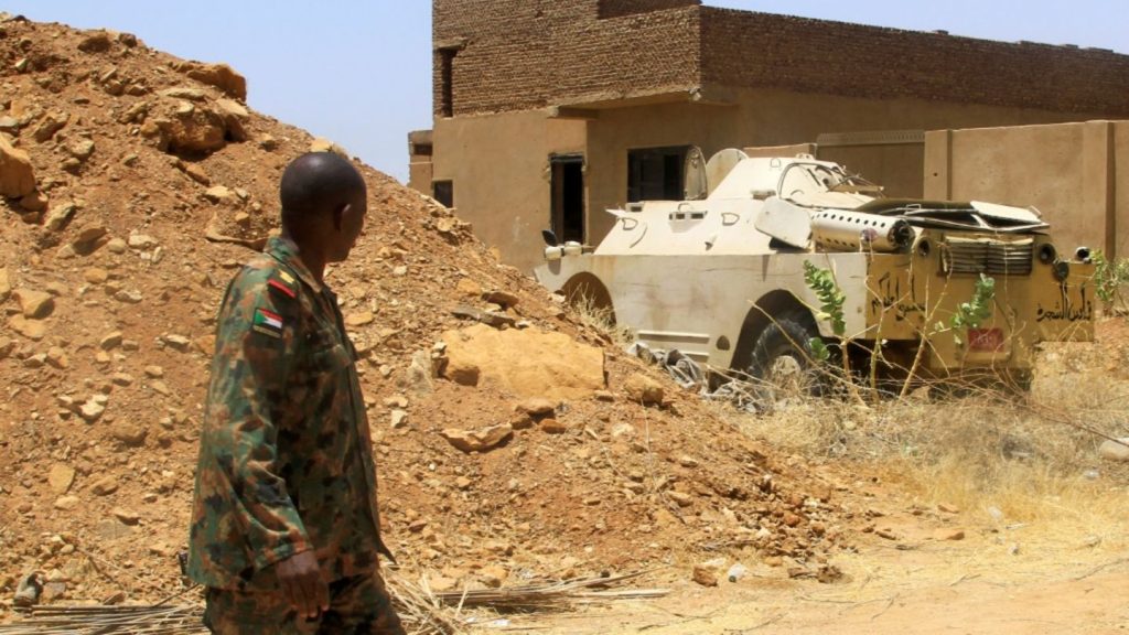Emirate weisen sudanesische Angaben zu zerstörtem Söldner-Flugzeug zurück