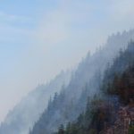 Kanada setzt Soldaten und Küstenwache zur Bekämpfung von Waldbränden ein
