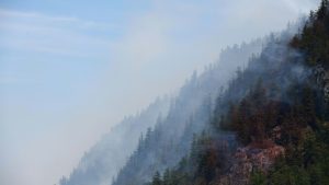 Kanada setzt Soldaten und Küstenwache zur Bekämpfung von Waldbränden ein