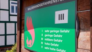 Waldbrandgefahr: Waldbrandgefahr nimmt langsam wieder zu