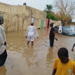 Schwere Gesundheitskrise: Cholera-Epidemie in Afrika: "Es wird noch schlimmer werden"