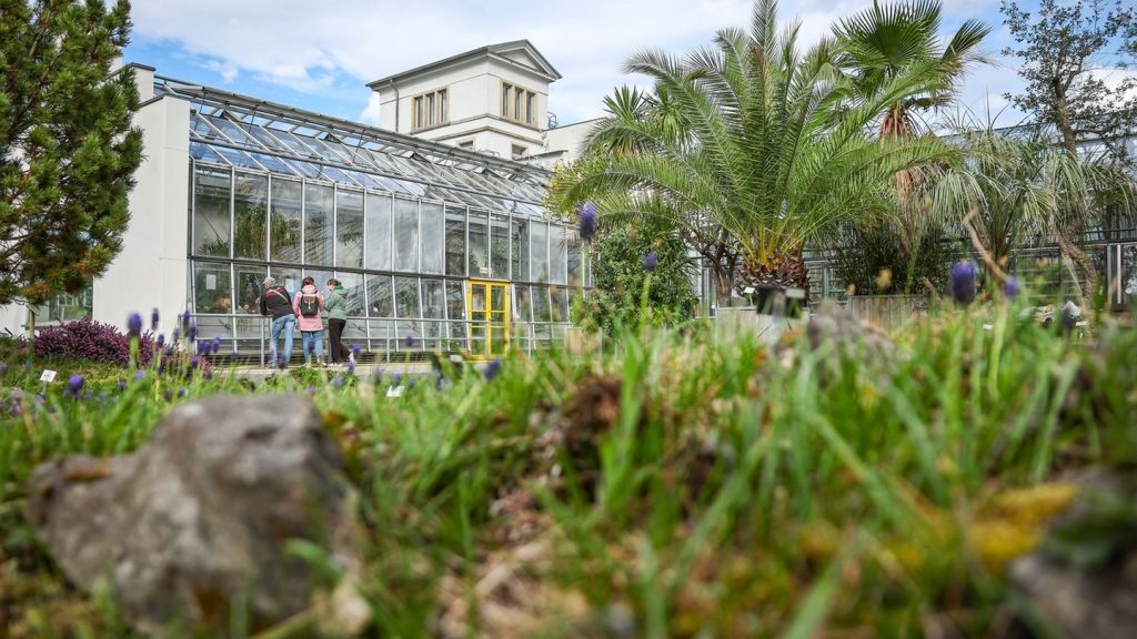 Chemnitz und Dresden: Botanische Gärten kämpfen mit Diebstählen
