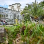 Chemnitz und Dresden: Botanische Gärten kämpfen mit Diebstählen