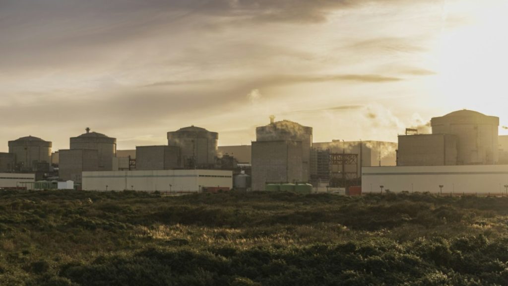 Atomkraftwerk in Nordfrankreich abgeschaltet - Quallen verstopfen Kühlpumpen