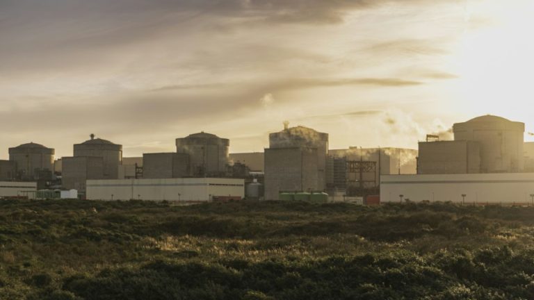 Atomkraftwerk in Nordfrankreich abgeschaltet - Quallen verstopfen Kühlpumpen
