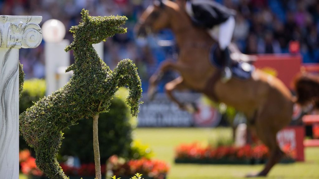 Pferdesport: Reit-WM 2026 in Aachen: Dressur vor 35.000 Menschen