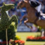 Pferdesport: Reit-WM 2026 in Aachen: Dressur vor 35.000 Menschen