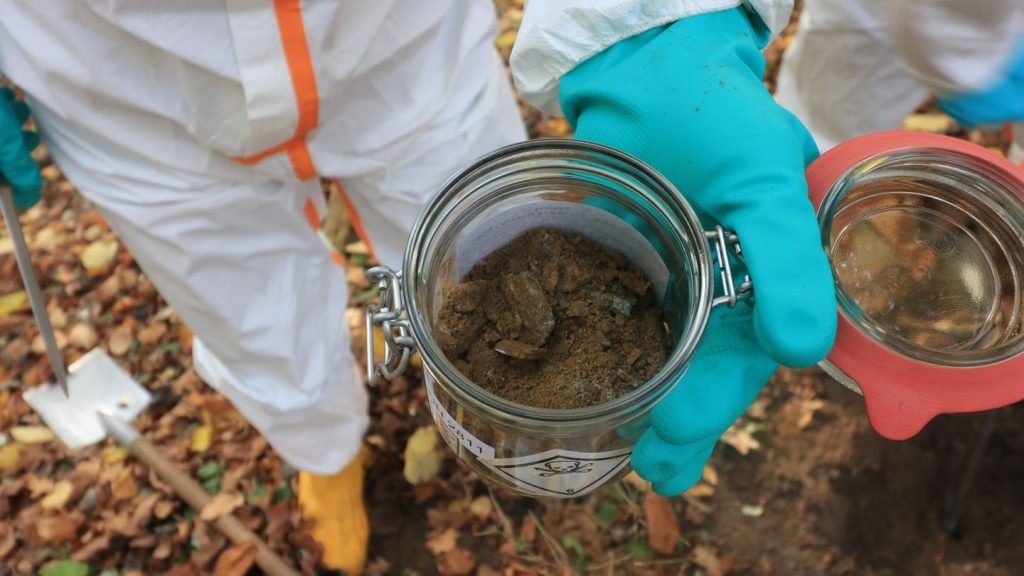 Bodensanierung: Dioxin-Sanierung in Boberger Niederung startet im November