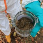 Bodensanierung: Dioxin-Sanierung in Boberger Niederung startet im November