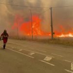 Hitzewelle in Europa: Drei Tote bei Waldbränden