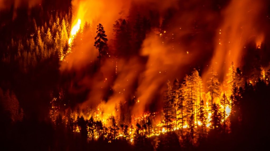 Heftiges Feuer wütet nahe Hafenstadt im Westen Kanadas