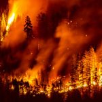 Heftiges Feuer wütet nahe Hafenstadt im Westen Kanadas