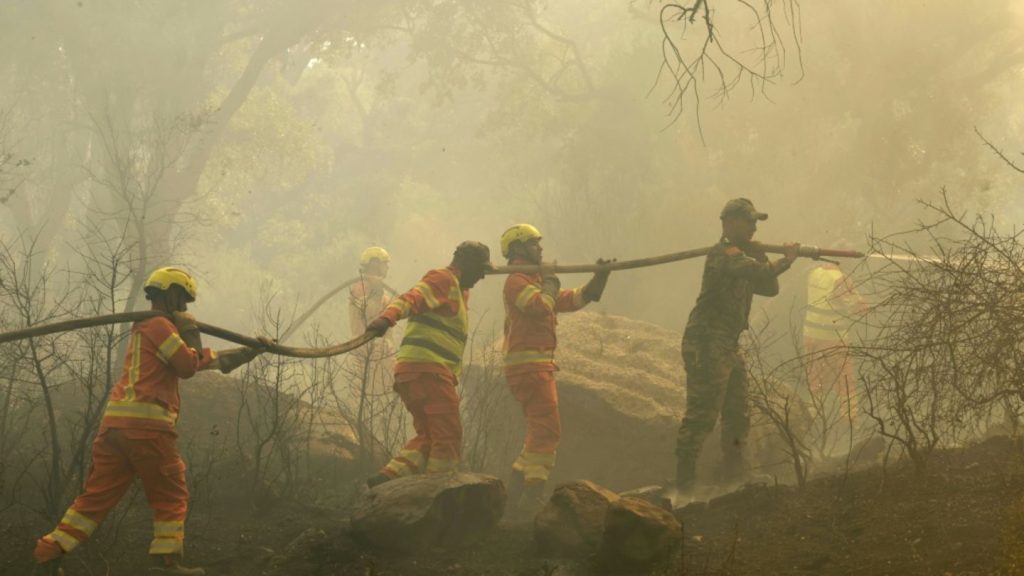 Marokkos Feuerwehr bringt Waldbrand nahe der "Blauen Perle" Chefchaouen unter Kontrolle