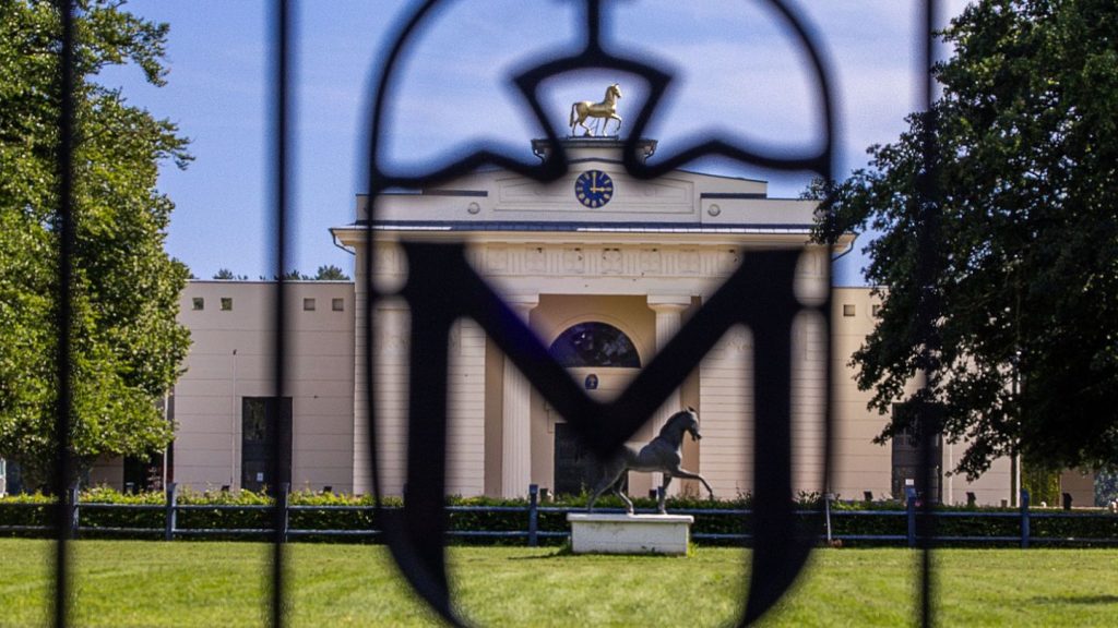 Landesgestüt: Backhaus setzt Interimsgeschäftsführer für Landesgestüt ein