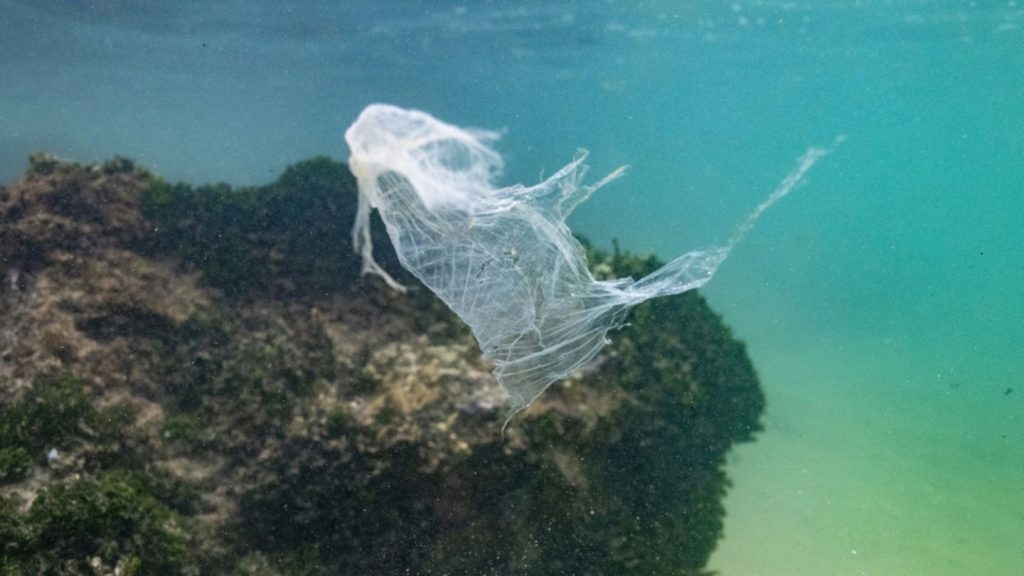 UN-Plastikabkommen: 184 Staaten treffen sich in Genf für letzten Verhandlungstag