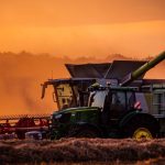 Landwirtschaft: Deutlicher Zuwachs bei Getreideernte erwartet