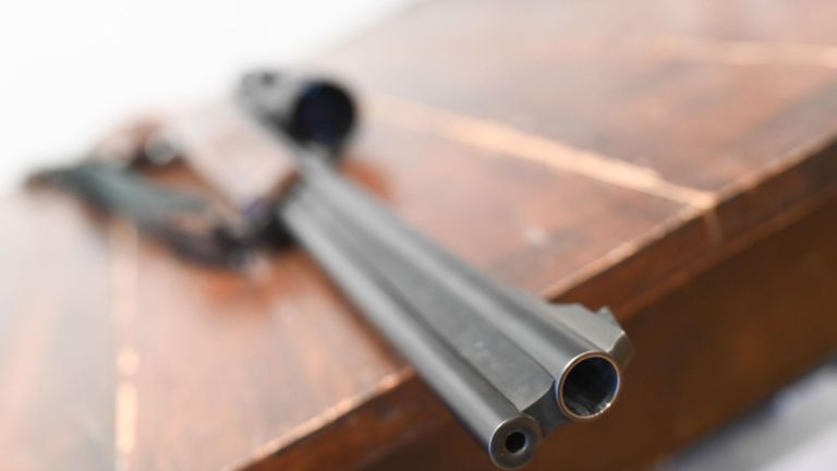 Sicherheit: Mehr Schusswaffen in Sachsen-Anhalt registriert
