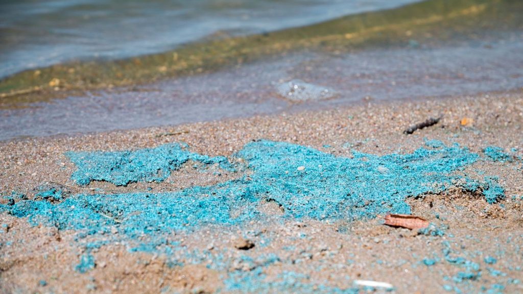 Gewässer: Achtung beim Baden in Franken: Blaualge in Seen festgestellt