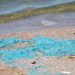 Gewässer: Achtung beim Baden in Franken: Blaualge in Seen festgestellt