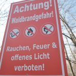 Wetter: Teils hohe Waldbrandgefahr im Nordosten