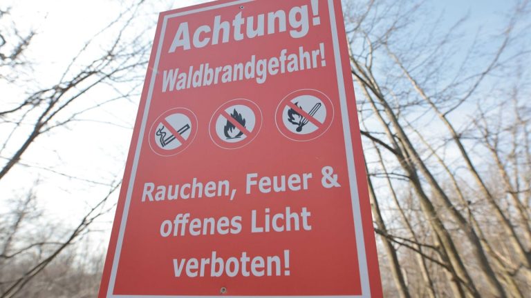 Wetter: Teils hohe Waldbrandgefahr im Nordosten