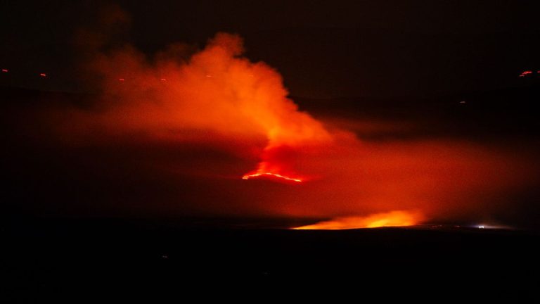 Spanien: Waldbrände: Auch Portugal bittet um EU-Hilfe