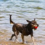 Wetter in Nordrhein-Westfalen: Sonne und zeitweise mehr als 30 Grad zu Beginn der Woche