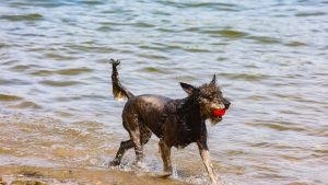 Wetter in Nordrhein-Westfalen: Sonne und zeitweise mehr als 30 Grad zu Beginn der Woche