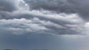 Vorhersage: Sommerpause im Südwesten: Jetzt kommt die Gießkanne von oben