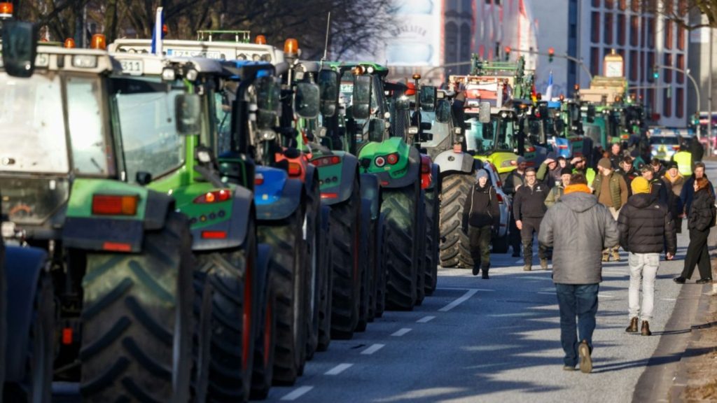 Bauernverband: Getreideernte in diesem Jahr deutlich besser als im Vorjahr