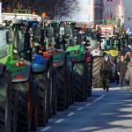 Bauernverband: Getreideernte in diesem Jahr deutlich besser als im Vorjahr