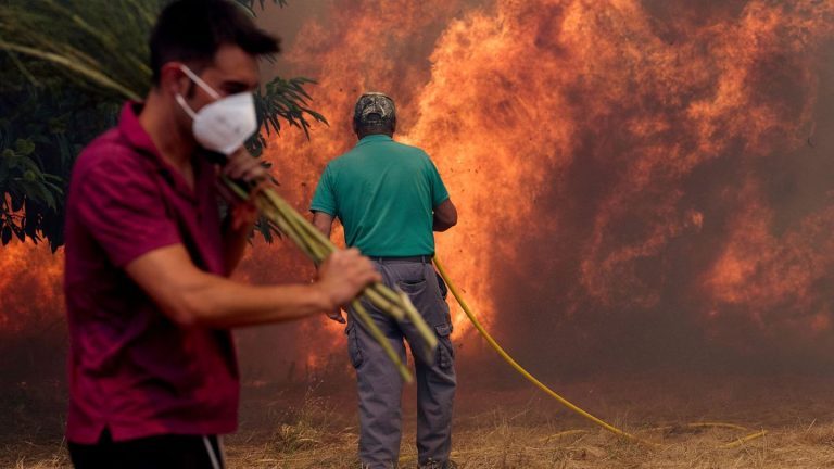 Feuer: Deutsche im Einsatz gegen Spaniens Mega-Brände