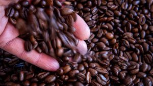 Kriminalität: Mutmaßlicher Kaffeedieb auf frischer Tat ertappt
