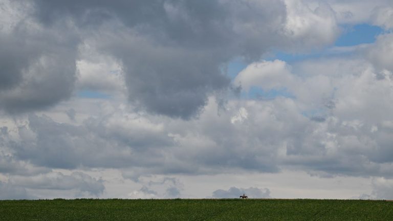 Wetter: Mehr Wolken als Sonne in Hessen