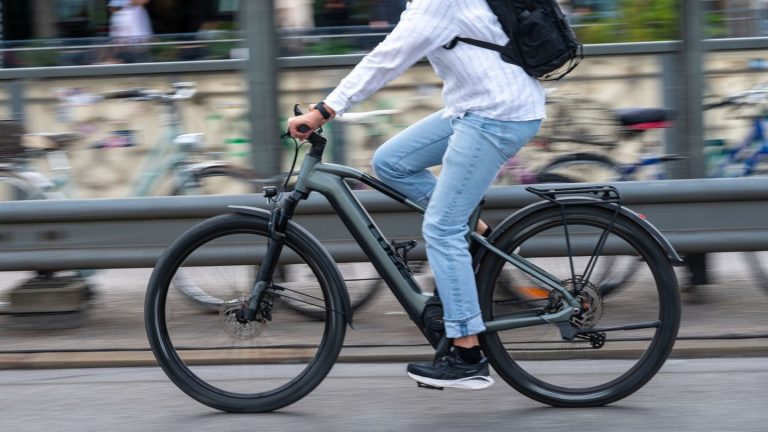 E-Mobilität: E-Bikes: Hamburg fast am Ende, Schleswig-Holstein vorn dabei