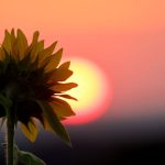 Halbzeitbilanz: Wetterdienst: Sommerferien bieten Extreme