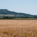Wetter und Klima: LfU: August in Bayern deutlich zu trocken