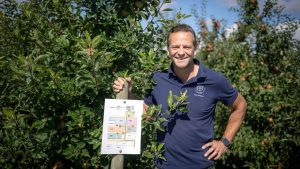 Apfelernte: Altes Land erwartet gute Ernte - Patenschaften beliebt