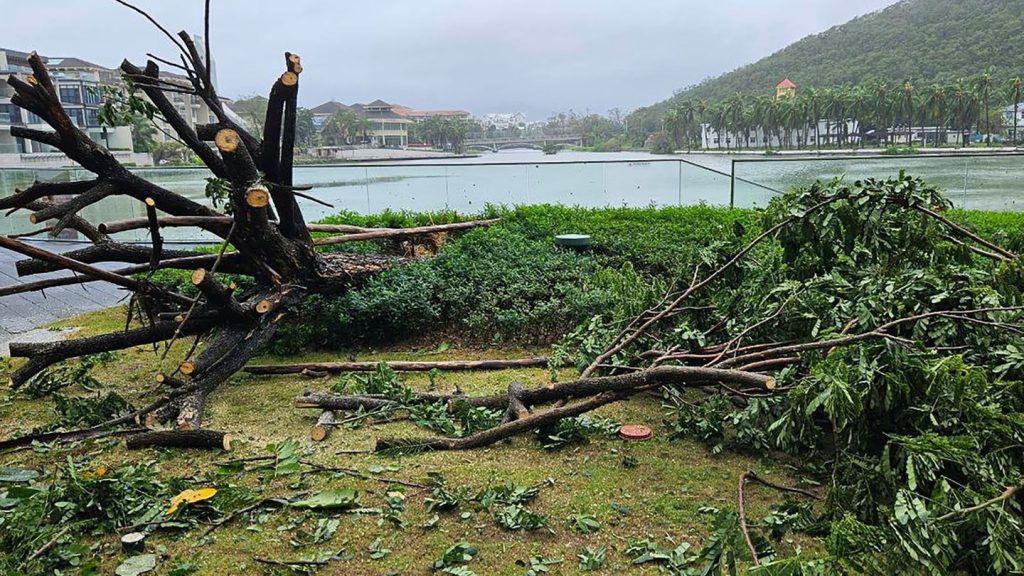 Tropensturm in Asien: Taifun "Kajiki" wirbelt auf Vietnam zu - Schäden auf Hainan