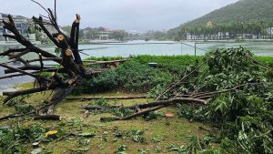 Tropensturm in Asien: Taifun "Kajiki" wirbelt auf Vietnam zu - Schäden auf Hainan