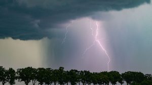 Vorhersage: Sonne, Regen, Gewitter: Wetter bleibt wechselhaft