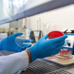 Gefährliche Krankheit: Weitere Ehec-Infektionen in Vorpommern